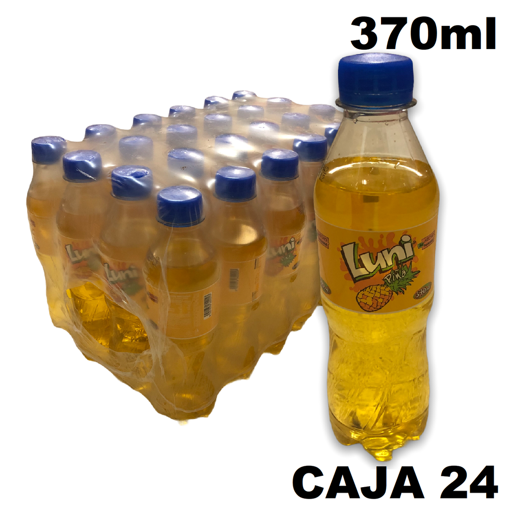 CAJA LUNI PIÑA PLASTICO 455ML 24 UNIDADES